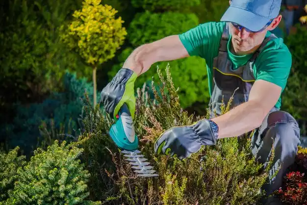 landscaping services Kissee Mills